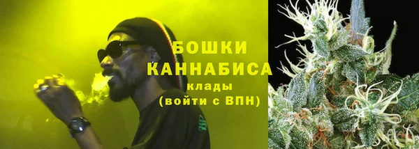 прущие грибы Магадан