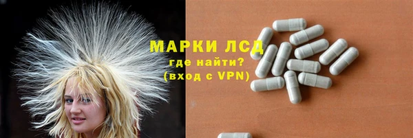 a pvp Магас