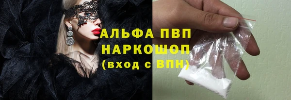 a pvp Магас