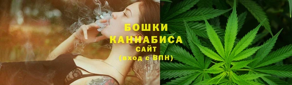 прущие грибы Магадан