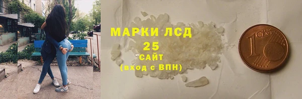 прущие грибы Магадан