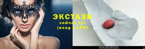 прущие грибы Магадан
