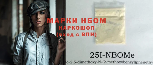 прущие грибы Магадан