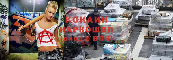 прущие грибы Магадан