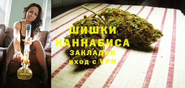 прущие грибы Магадан