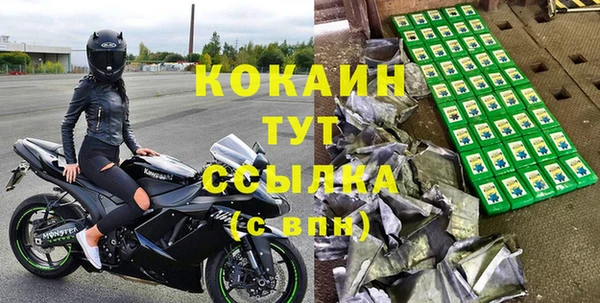 прущие грибы Магадан