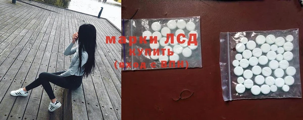 a pvp Магас