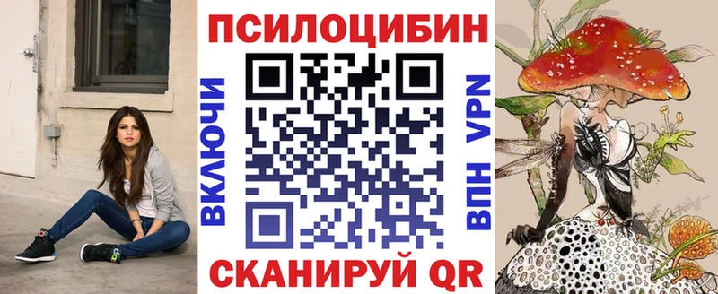 blacksprut ссылка  Пятигорск  Галлюциногенные грибы Cubensis 