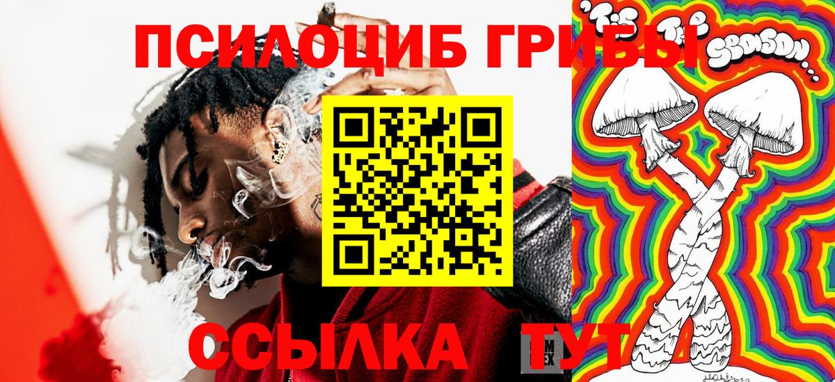 Псилоцибиновые грибы прущие грибы Пятигорск