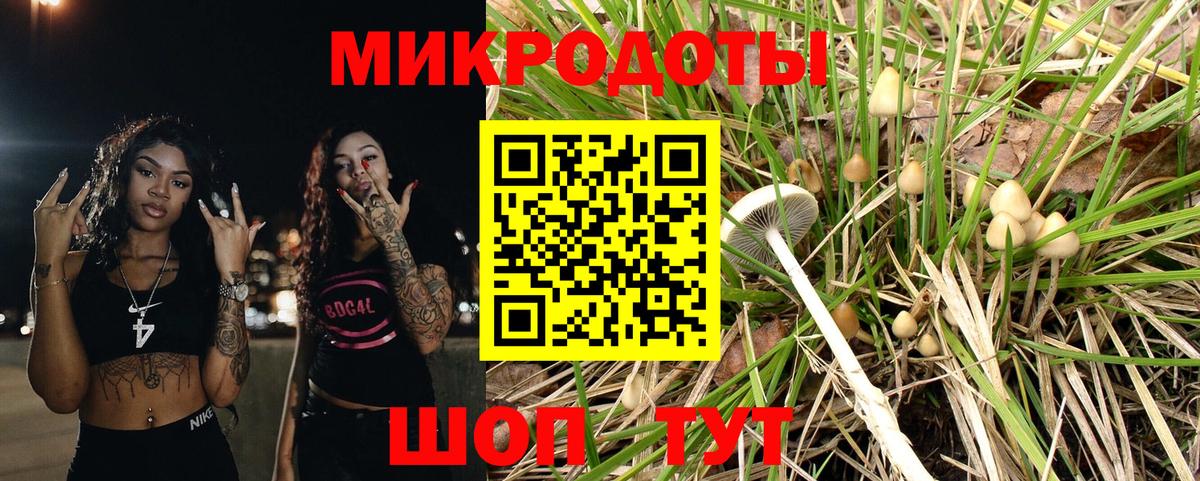 Псилоцибиновые грибы Psilocybe  Галлюциногенные грибы Cubensis  Вход с VPN  Пятигорск 