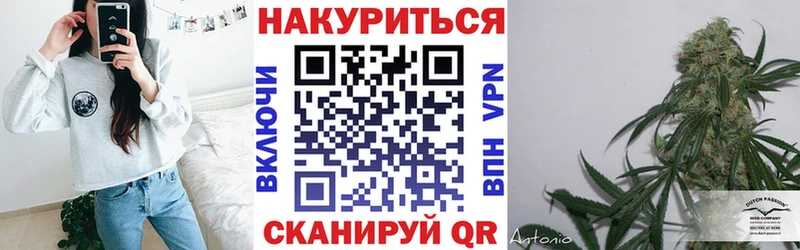 дарнет шоп  Пятигорск  Бошки марихуана конопля 